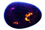 Polished Yooperlite Pebble - Highly Fluorescent! #176854-1